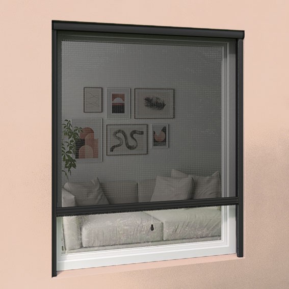 Moustiquaire enroulable fenêtre H145 cm x L125 cm ALU gris - Installation  facile